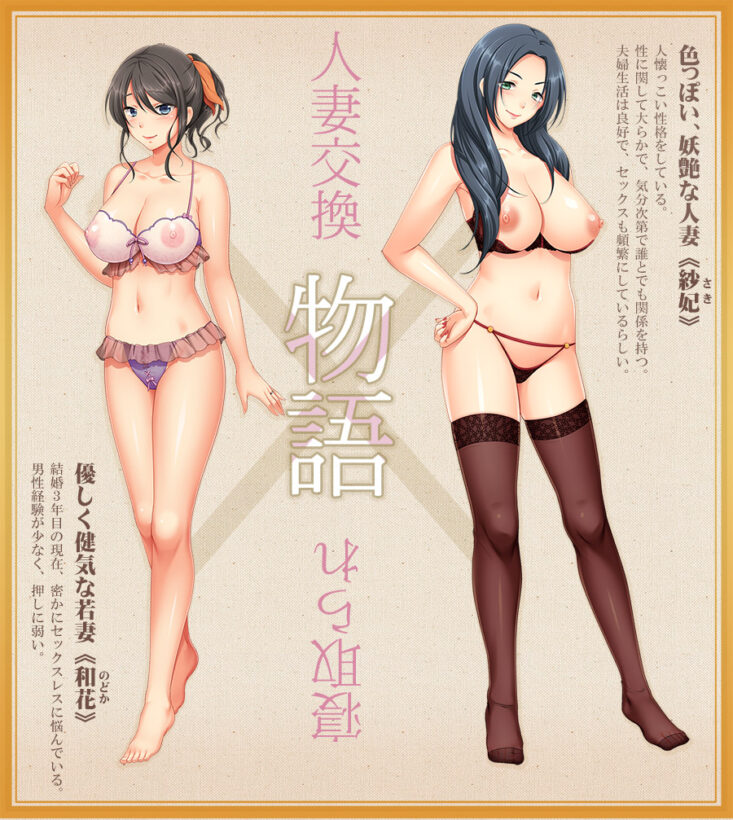 壁の向こうの妻の嬌声 ~愛する妻の肢体はもう、隣の旦那を忘れられない~の基本コンセプト